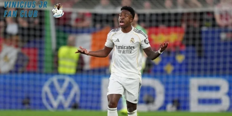 Hình ảnh tổng quan fanvinicius